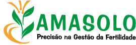 Logo Amasolo