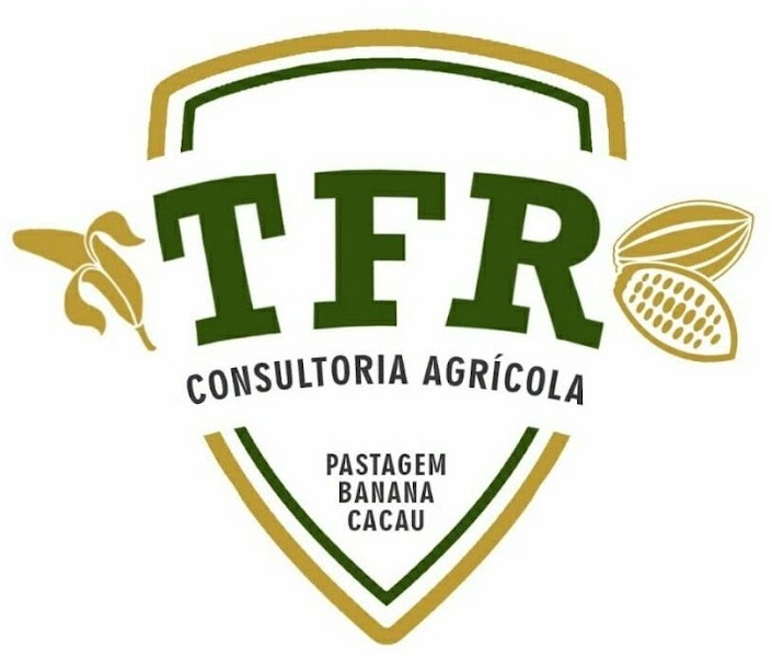 Logo TFR