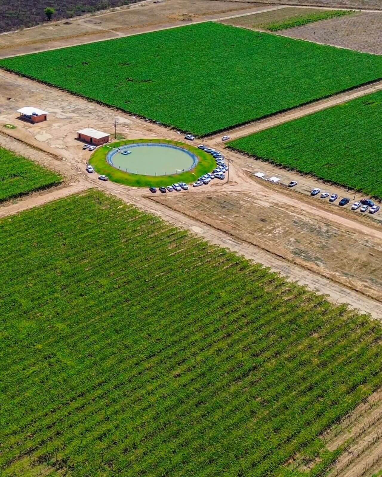II seminário da fruticultura irrigada Barra AgroShow