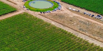 II seminário da fruticultura irrigada Barra AgroShow