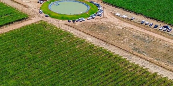 II seminário da fruticultura irrigada Barra AgroShow